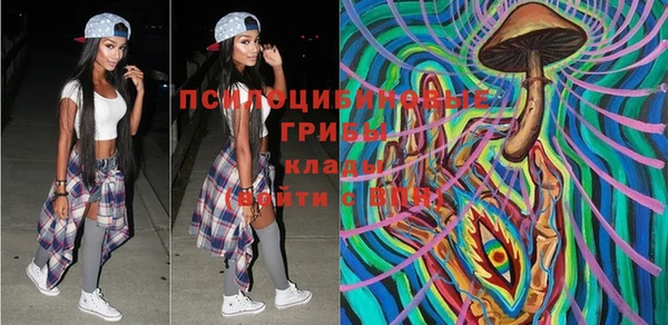 прущие крисы Гвардейск