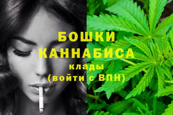 гидропоника Пересвет