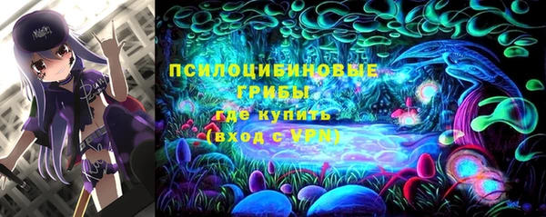 круглые Пестово