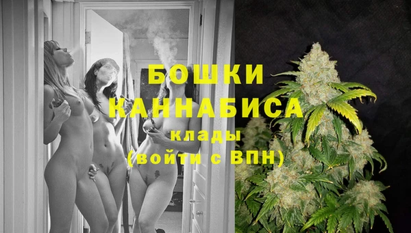 гидропоника Пересвет