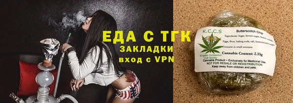 кокс Гатчина