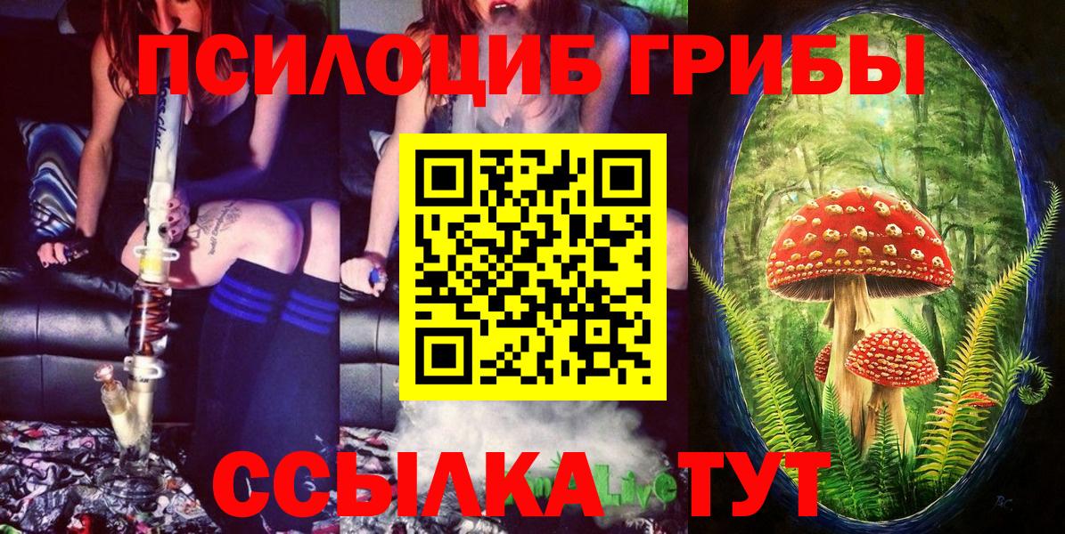 наркота  Псилоцибиновые грибы мицелий  Вход с VPN  Советск 