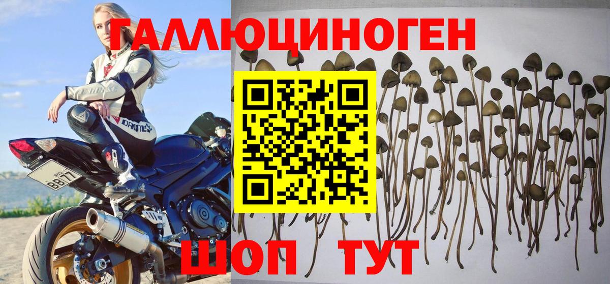 Псилоцибиновые грибы ЛСД Советск